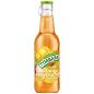 Preview: Nowy !!! Tymbark Mango-Wieleoowocowy 250 ml